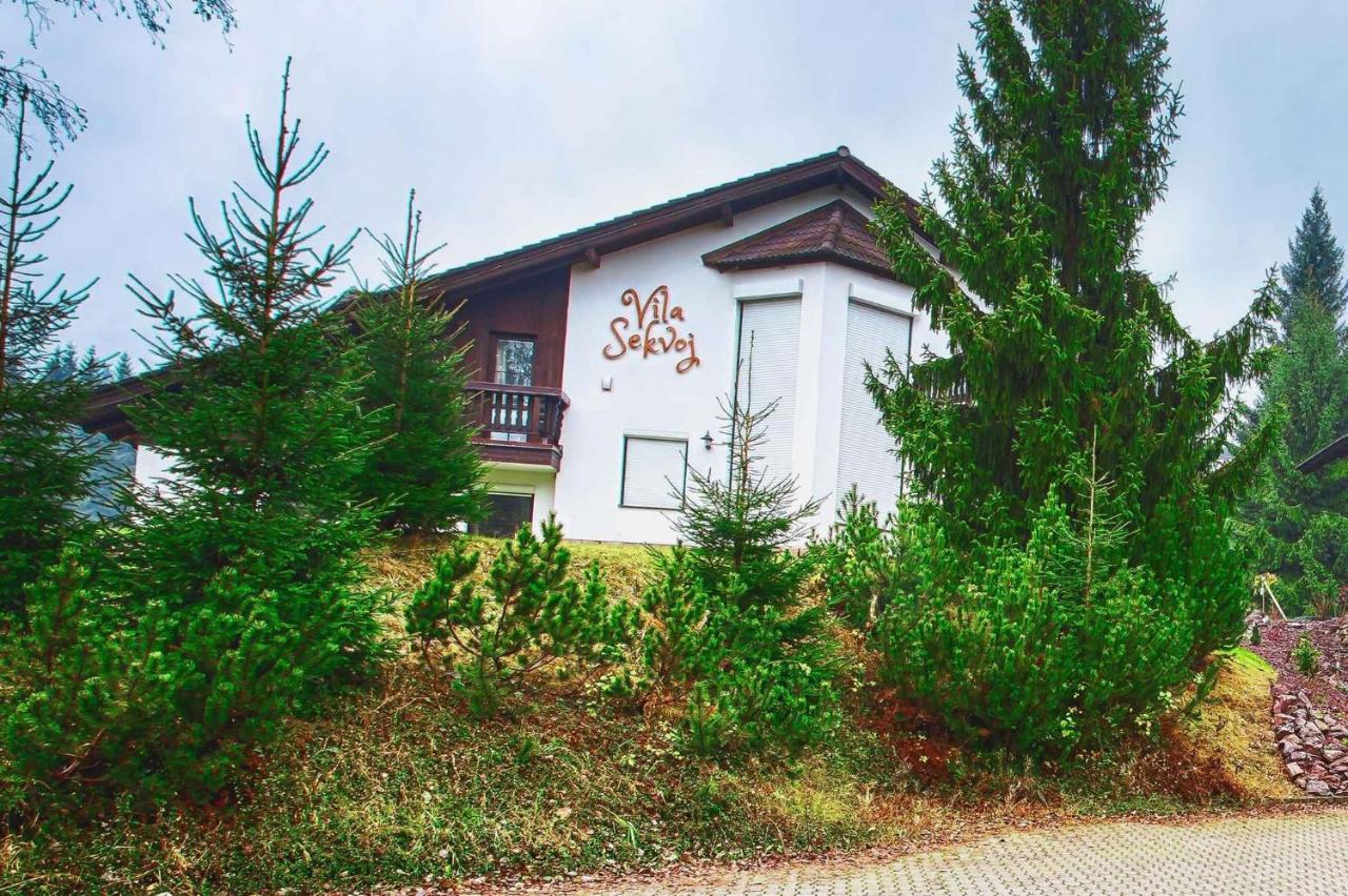Holiday Home In Harrachov 33511 Dış mekan fotoğraf